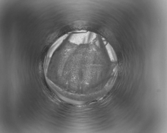X0000052930623200508050831