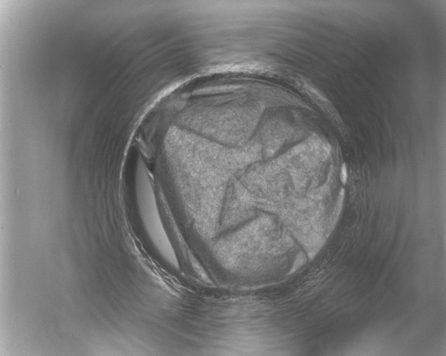 X0000052930628200508050830