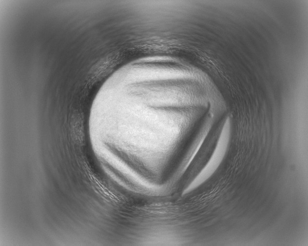 X0000052930642200508050830