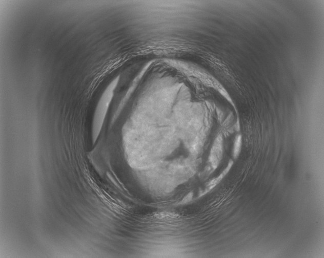 X0000052930644200508050830