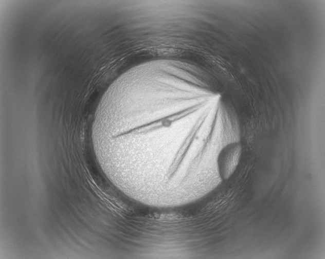 X0000052930645200508050830