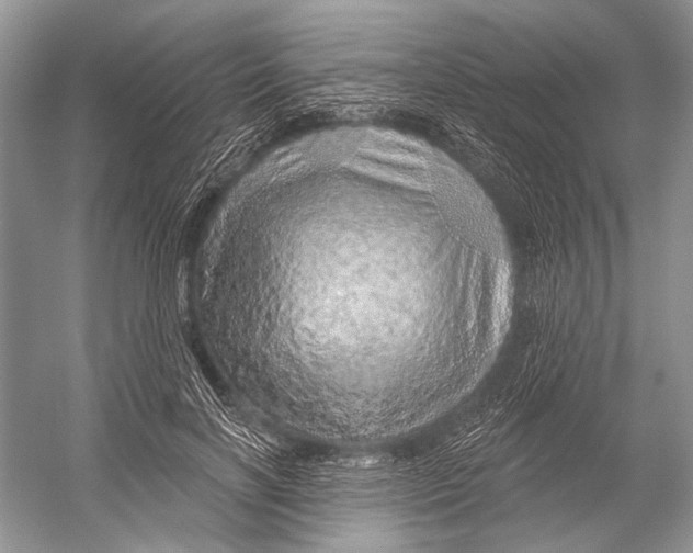 X0000052930646200508050830
