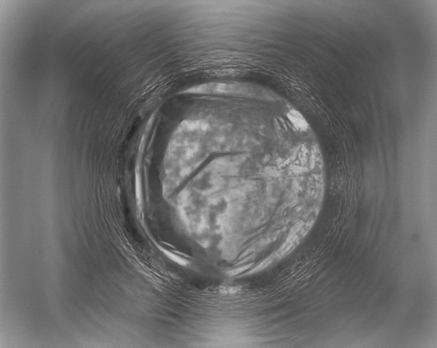 X0000052930647200508050830