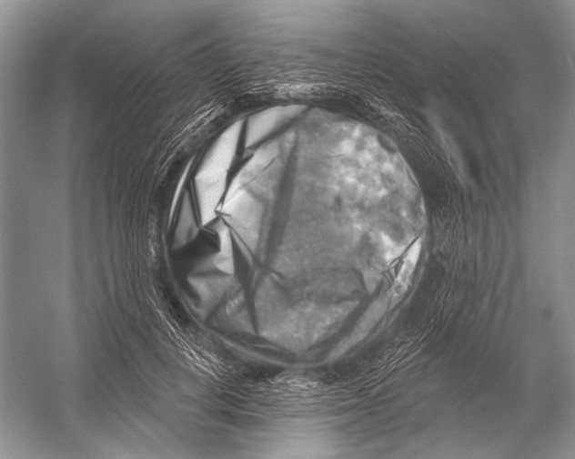 X0000052930648200508050831