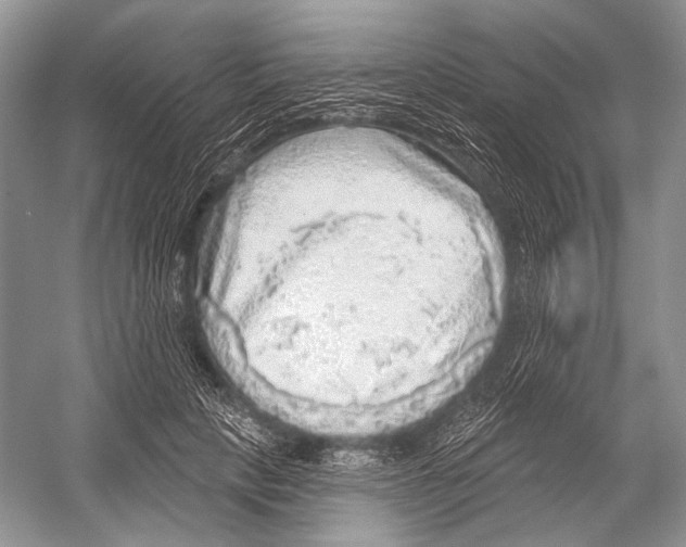 X0000052930649200508050831