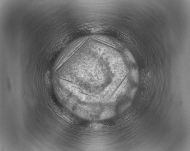 X0000052930650200508050831
