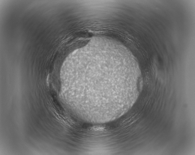 X0000052930651200508050831