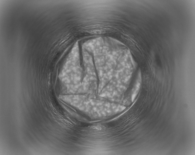 X0000052930652200508050831