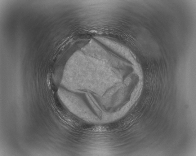 X0000052930656200508050831