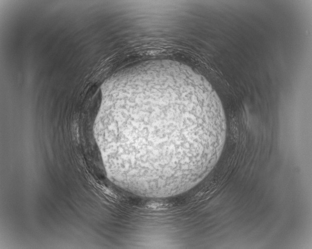X0000052930657200508050831
