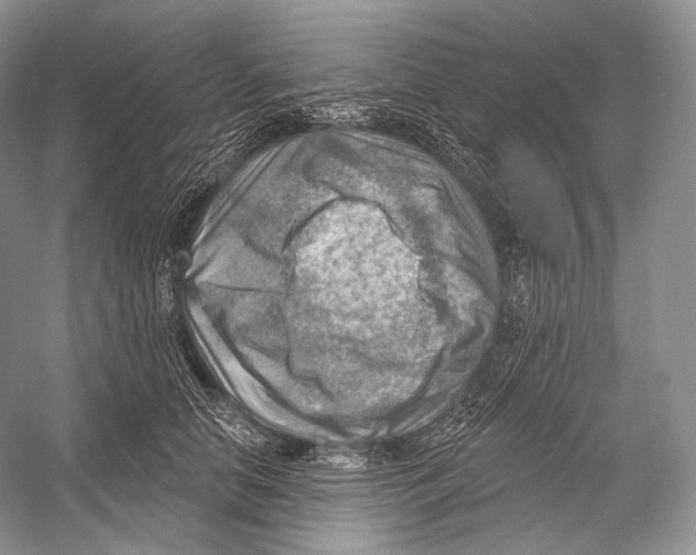 X0000052930658200508050831