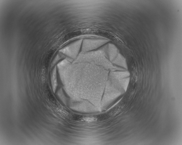 X0000052930659200508050831