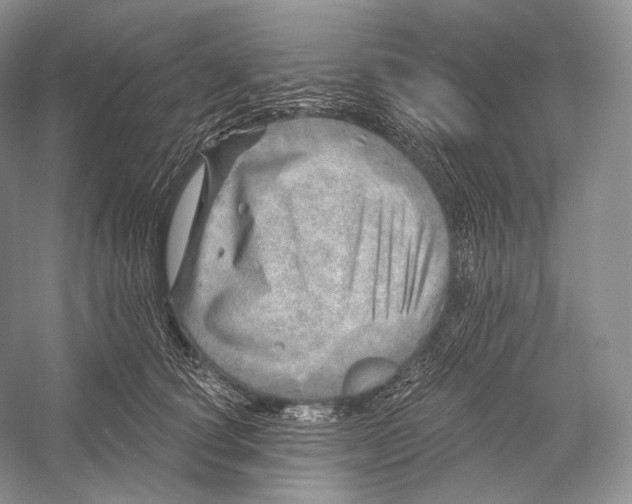 X0000052930660200508050831