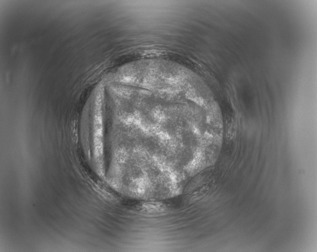 X0000052930666200508050831