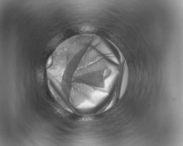 X0000052930668200508050831