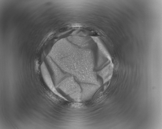 X0000052930669200508050831