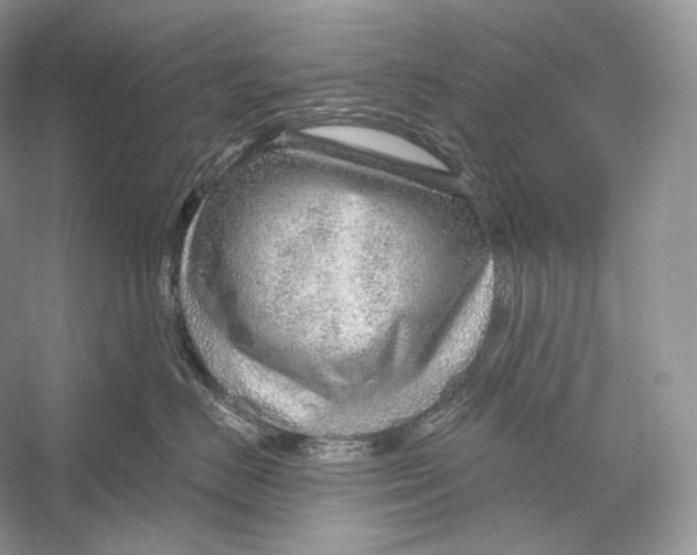 X0000052930670200508050831