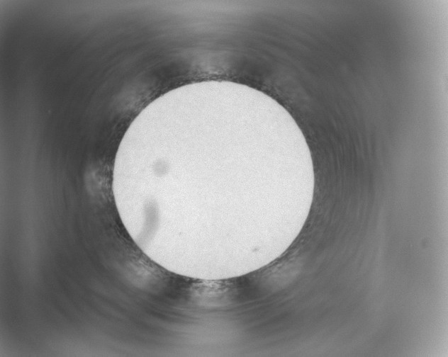 X0000052930672200508050831