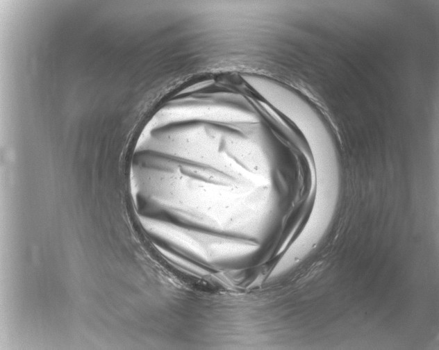 X0000052930673200508050830
