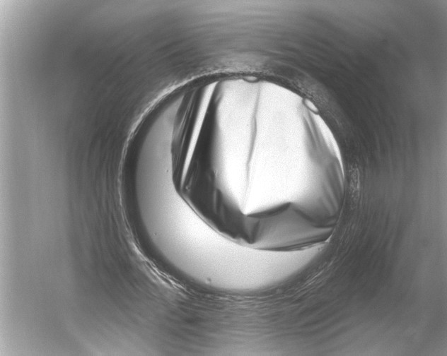 X0000052930676200508050830