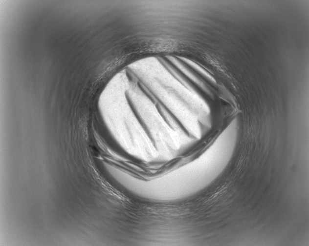 X0000052930681200508050830
