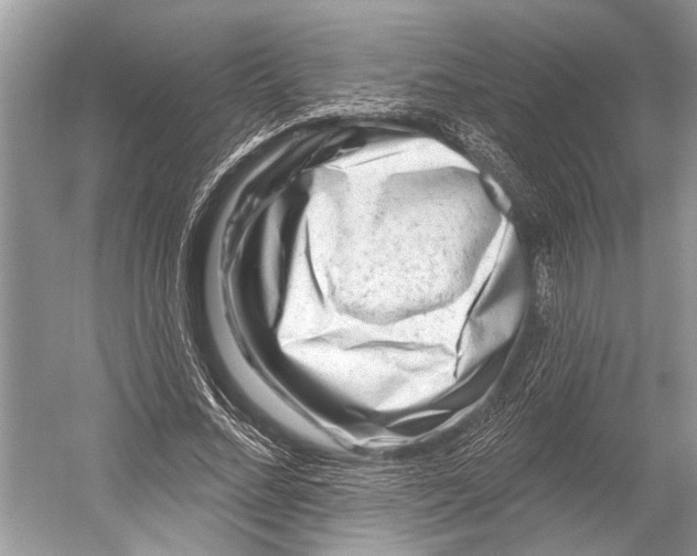 X0000052930684200508050830