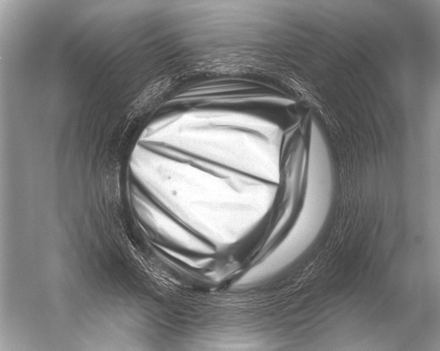 X0000052930685200508050830