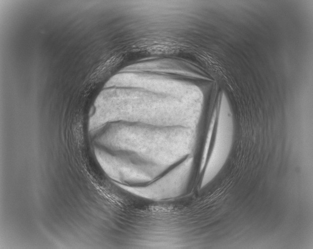X0000052930690200508050830