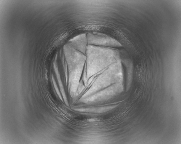 X0000052930692200508050830