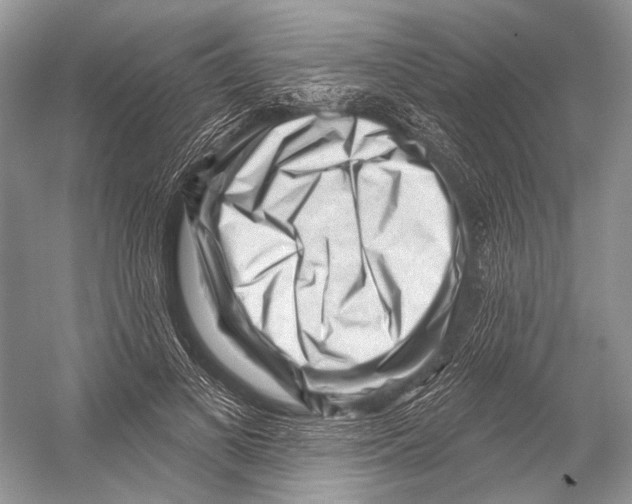 X0000052930693200508050830