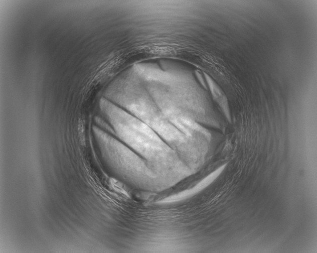 X0000052930696200508050830