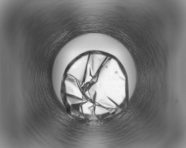 X0000052930697200508050830