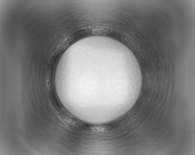 X0000052930698200508050830