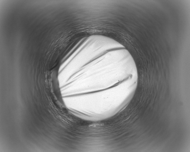 X0000052930700200508050830