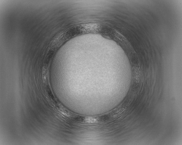 X0000052930701200508050830