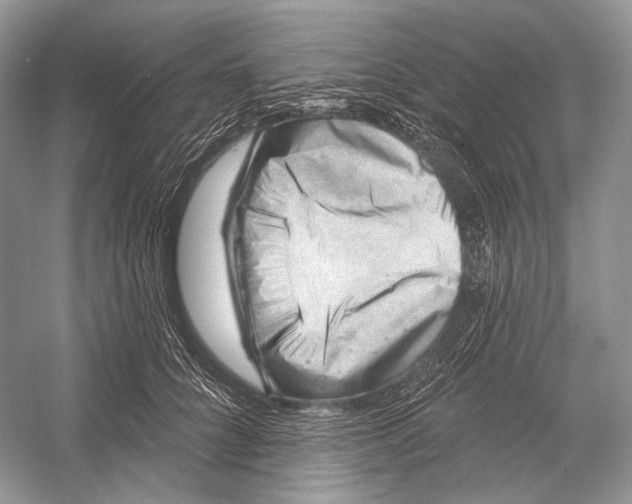 X0000052930704200508050830
