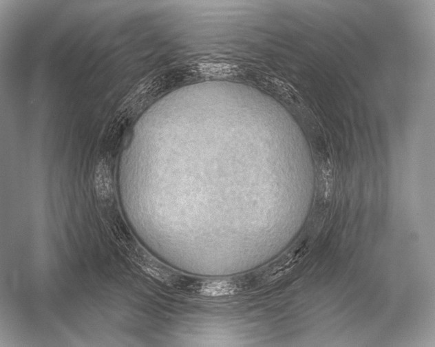 X0000052930705200508050830