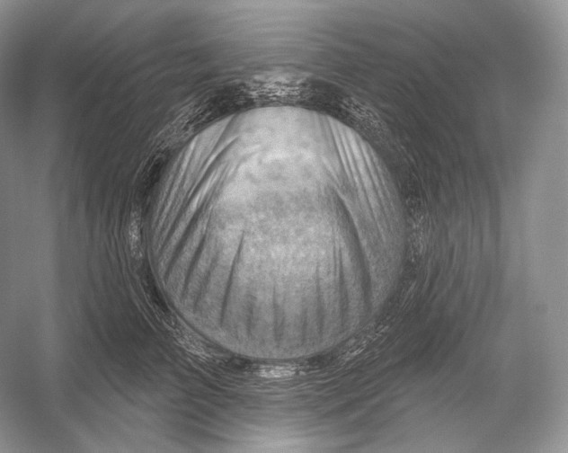X0000052930709200508050829