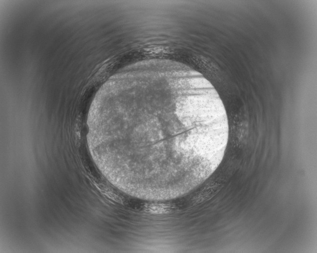 X0000052930710200508050829