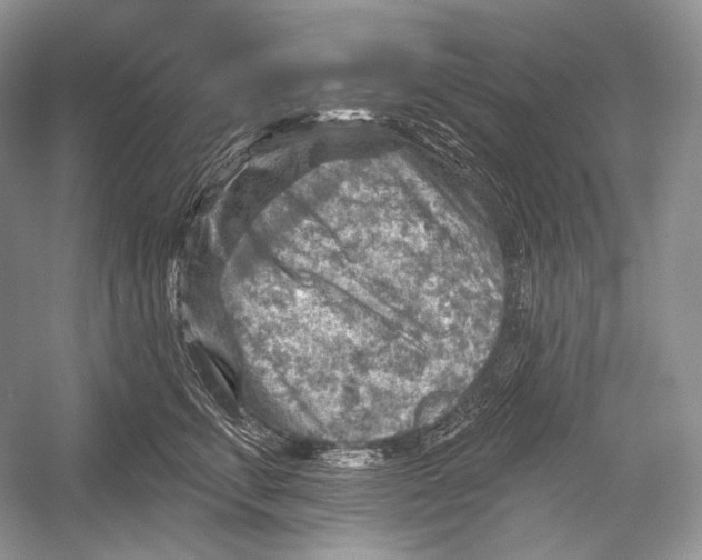 X0000052930711200508050829