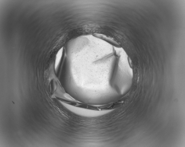 X0000052930712200508050829