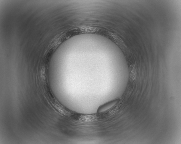 X0000052930713200508050829