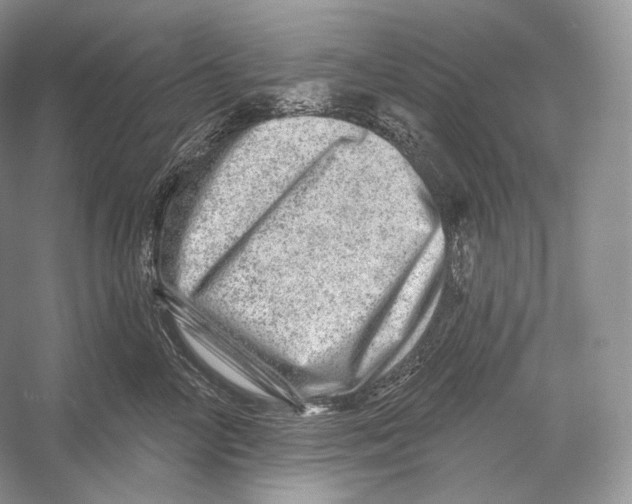 X0000052930714200508050829