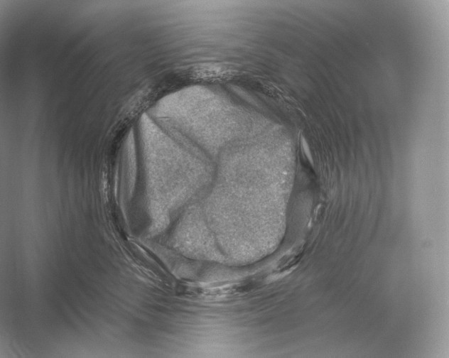 X0000052930716200508050829
