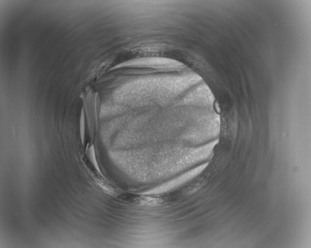 X0000052930718200508050829