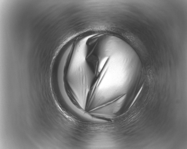 X0000052930728200508050829