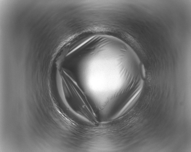 X0000052930732200508050829