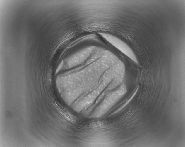 X0000052930735200508050829