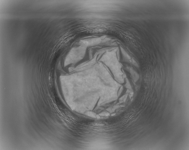 X0000052930743200508050829