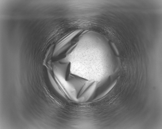 X0000052930744200508050829